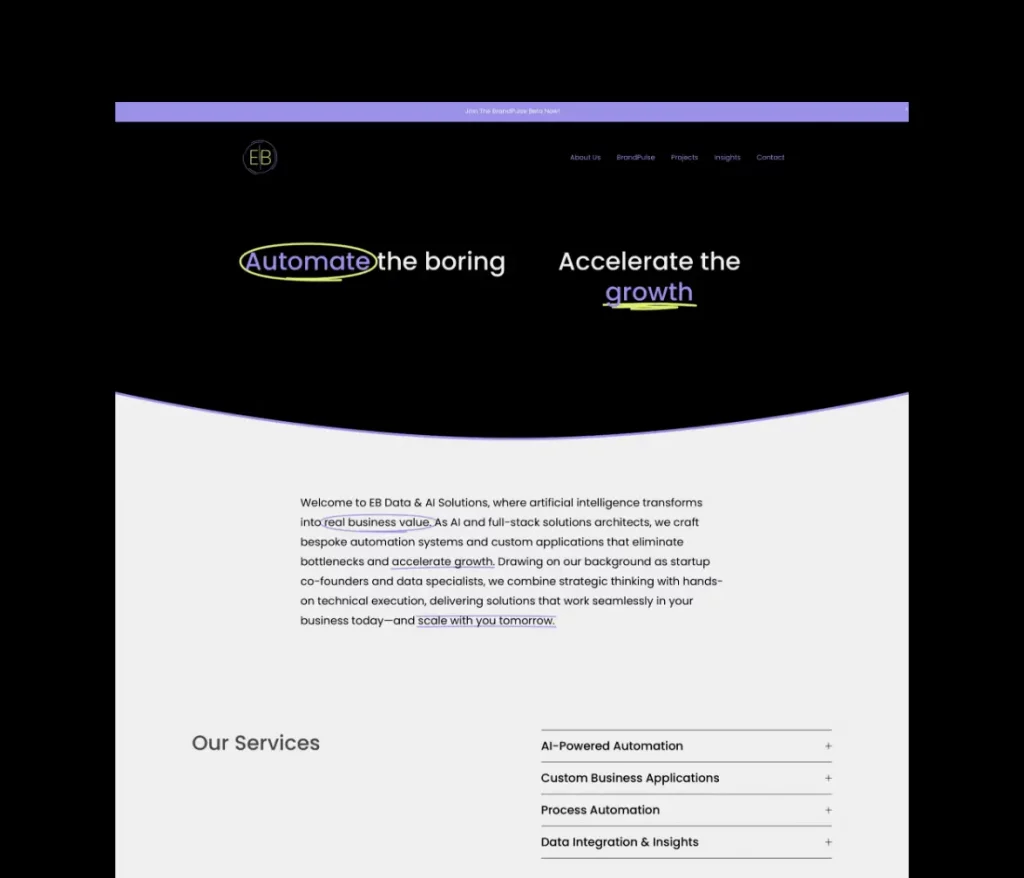 EB Solutions original branded website before the redesign